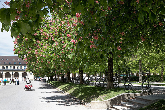 Bild: Hofgarten mit Arkaden