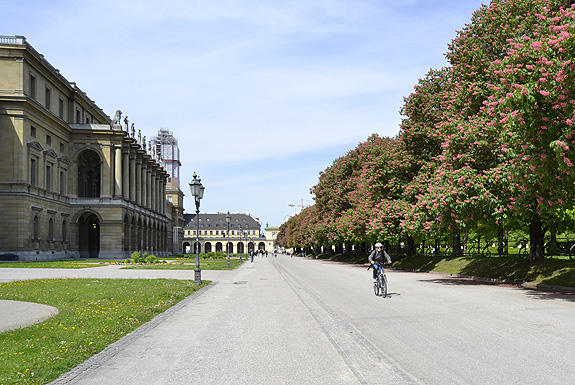 Bild: Radfahrer im Münchner Hofgarten